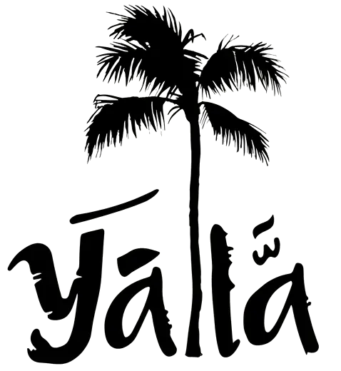 Yalla Surf Morocco
